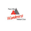 PHWNC Para Hills Wanderers Netball Club SADNA SA Districts Netball association partnership netball physio physio golden grove