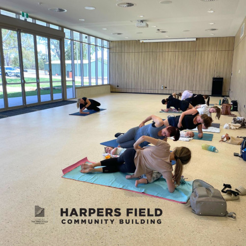 My Local Physio Plus Golden Grove Harpers Field mums and bubs mat pilates baby activities fitness
